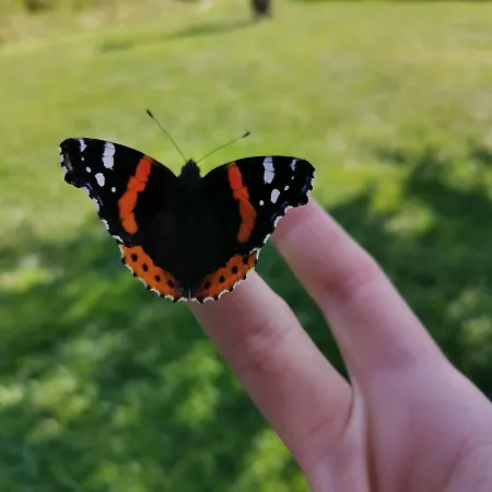 Cechuv Mlyn فندق