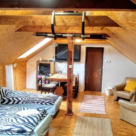 Cechuv Mlyn فندق