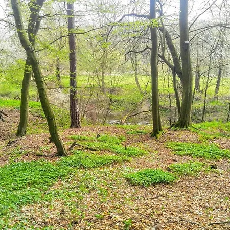 Cechuv Mlyn * Hrebecniky